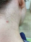 Изображение на обложке