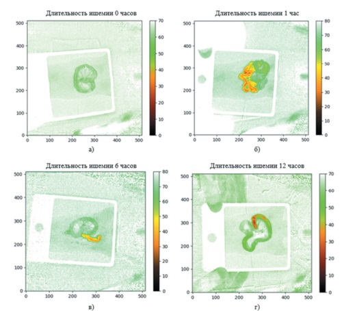 Изображение на обложке