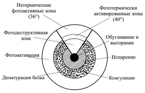 Изображение на обложке