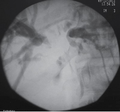 Изображение на обложке